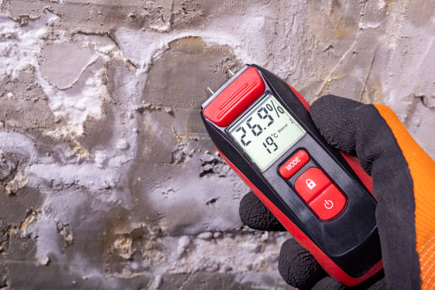 Best Local Mold Removal Service  in Virginia Beach, VA