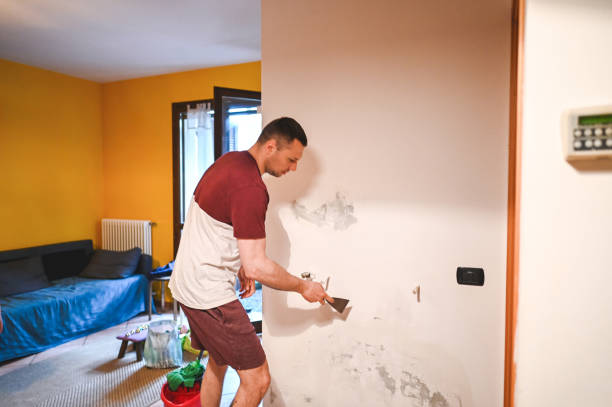 Best Mold Removal Near Me  in Virginia Beach, VA